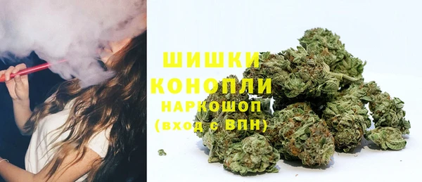 PSILOCYBIN Саяногорск